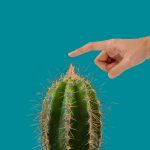 cactus-Blue-2 cactus-Blue-2