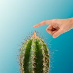 cactus-Blue cactus-Blue
