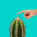 cactus-Green cactus-Green